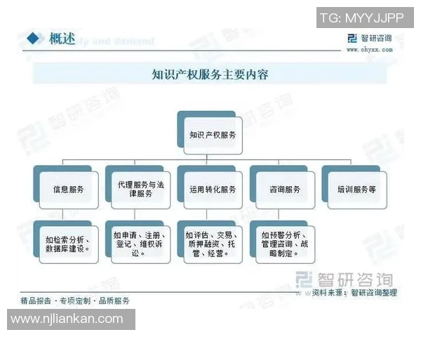知识产权保护与创新发展：探索全球化背景下的法律挑战与对策
