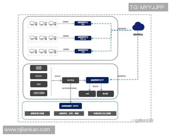 上海排球队防反战术解析深度剖析排球比赛中的攻防策略与团队协作